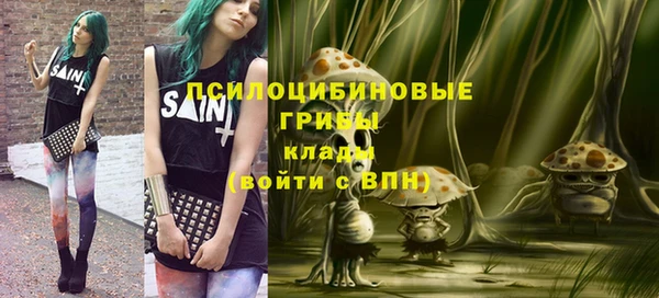 ешки Алексин