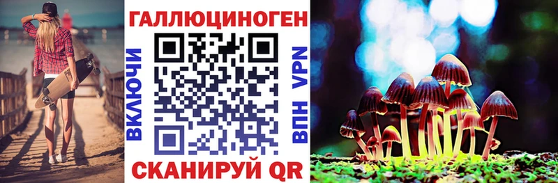 Галлюциногенные грибы MAGIC MUSHROOMS  цены наркотик  Камызяк 